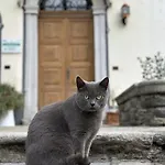 La Dolce Casa Di Oda ve Kahvaltı Cremia
