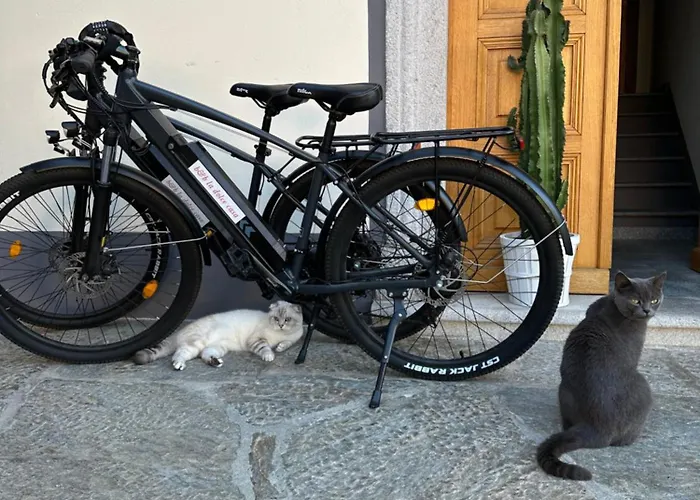 La Dolce Casa Di 3*