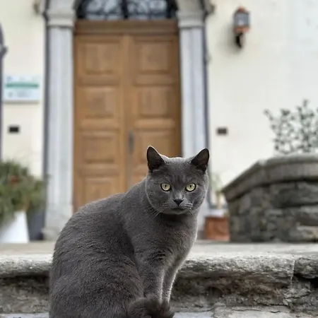 La Dolce Casa Di B&B 크레미아