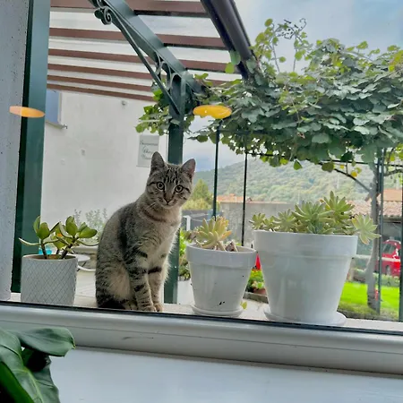 La Dolce Casa Di Bed & Breakfast Cremia