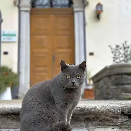 La Dolce Casa Di Cremia