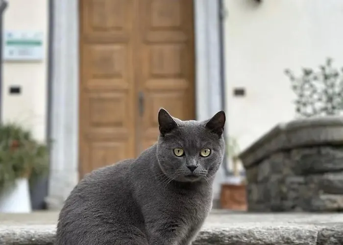 La Dolce Casa Di Oda ve Kahvaltı Cremia