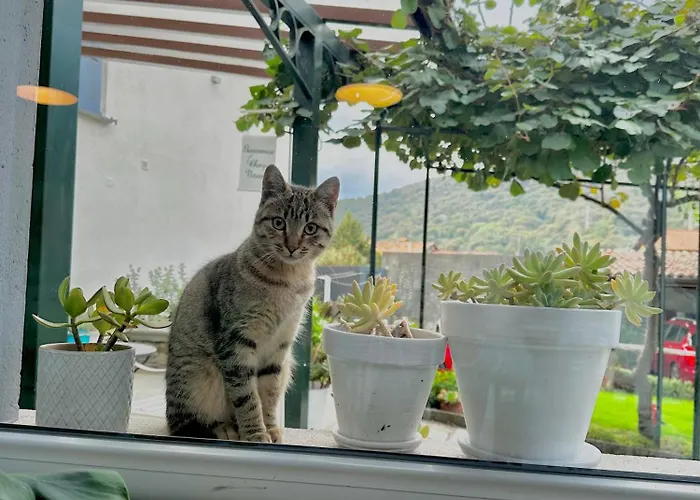 La Dolce Casa Di Oda ve Kahvaltı Cremia